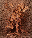 William Wegman, Camofleur, 1992, Color Polaroid, 24x20