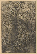Rodolphe Bresdin. French, 1822–1885. Branches, ca. 1880. etching. Bequest of David P. Becker, Class of 1970