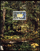 William Wegman, Untitled (Greetings State), 1998, Postcard on chromogenic print, 16x2