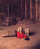 William Wegman, The Hardly Boys: The Second Story, 1994, Color Polaroid, 24x20