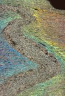 Cross-polarized light image of folded layer within a well-layered schist.  Apuane; Italian Alps.