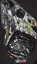 Cross-polarized light image of garnet schist from New England. The large dark gray minerals are garnet with curved inclusion trails of predominantly quartz and plagioclase.