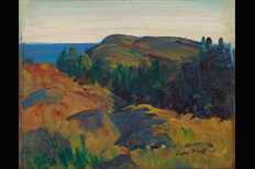 Rocks, Waves, and Skies: Maine Landscapes, 1900-1950