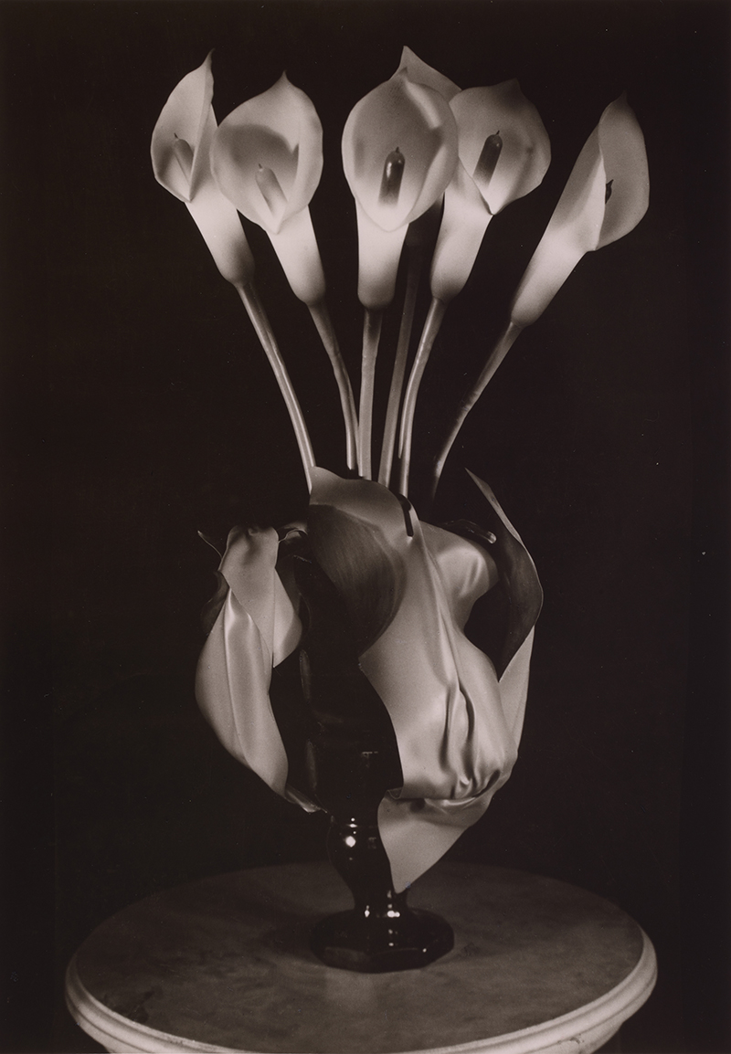 black and white image of a bunch of calla lillies in a vase