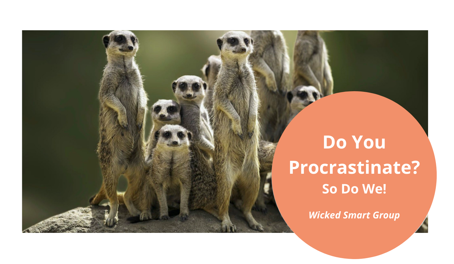 do-you-procrastinate-so-do-we-wicked-smart-group-image-for-website.png