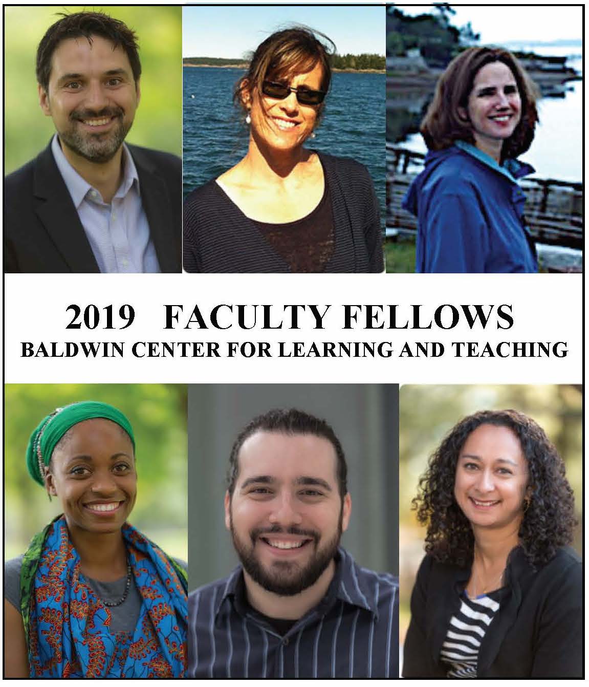The 2019 faculty fellows