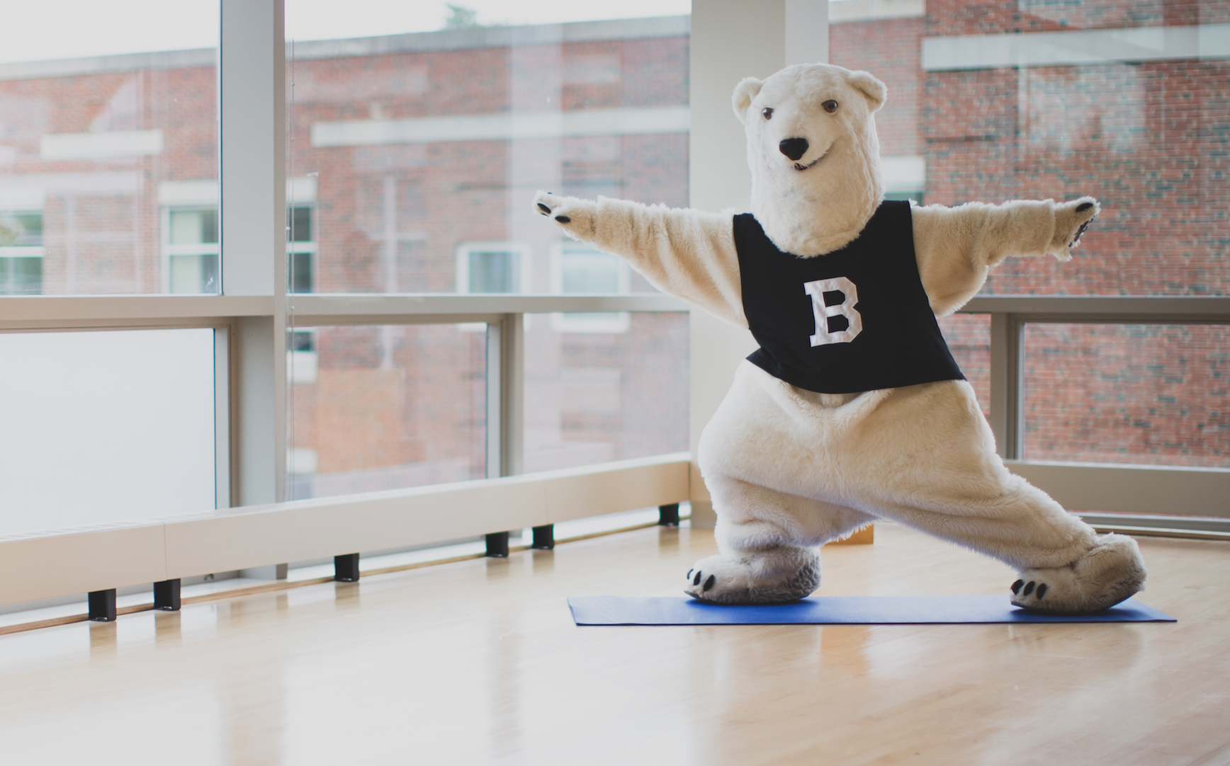 The polar bear does some yoga at the Buck Center.