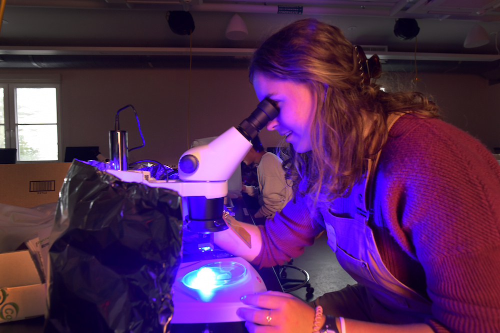 Student looking through a microscope