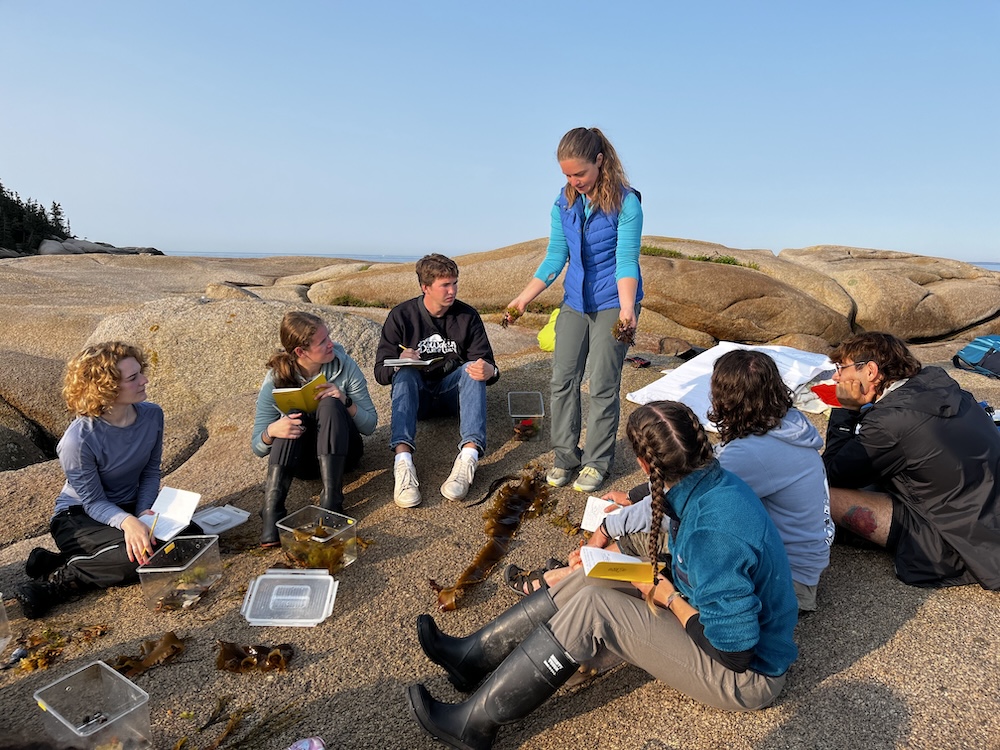 Students outside looking on at Katie Dubois holding kelp