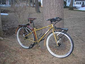 bike against tree