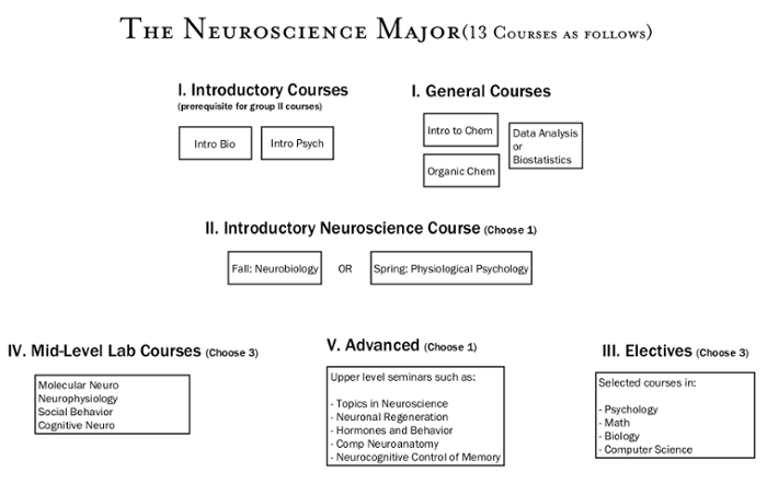 Neuro Major Chart