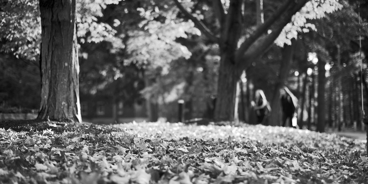 Bowdoin in the fall, preparing for Homecoming Weekend.