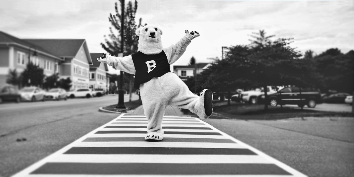 The Bowdoin Polar Bear crosses a PRIDE-painted crosswalk in downtown Brunswick.