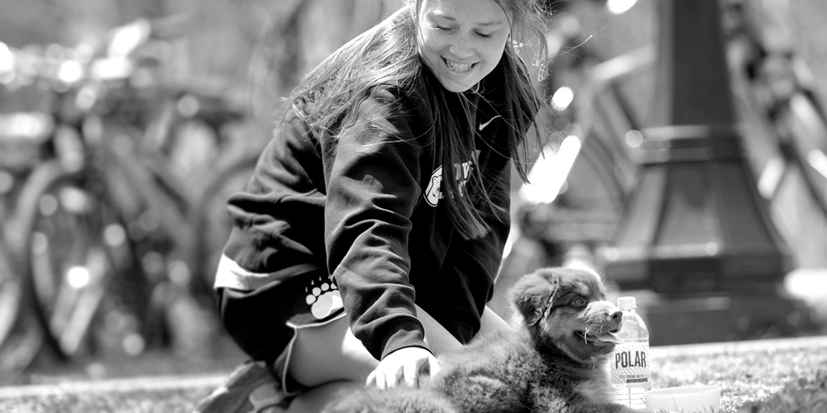Chewie loves sunshine and scratches and Bowdoin women's lacrosse.