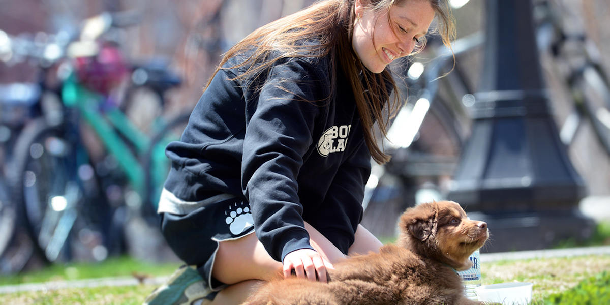 Chewie loves sunshine and scratches and Bowdoin women's lacrosse.