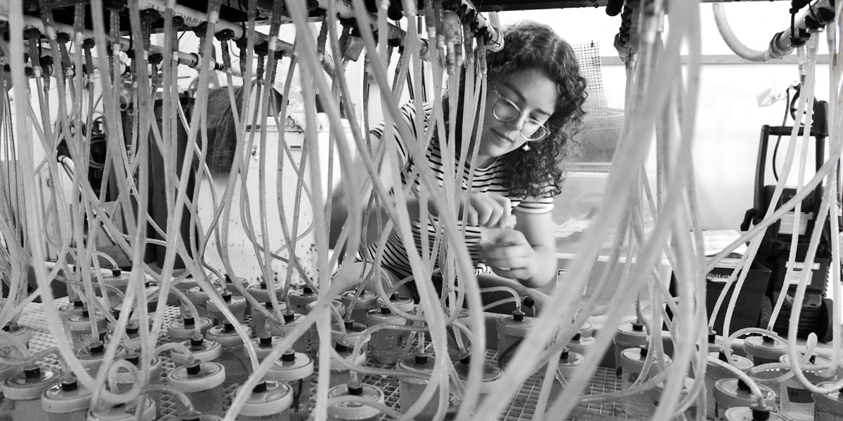 Students perform summer research at Bowdoin's Schiller Coastal Studies Center.