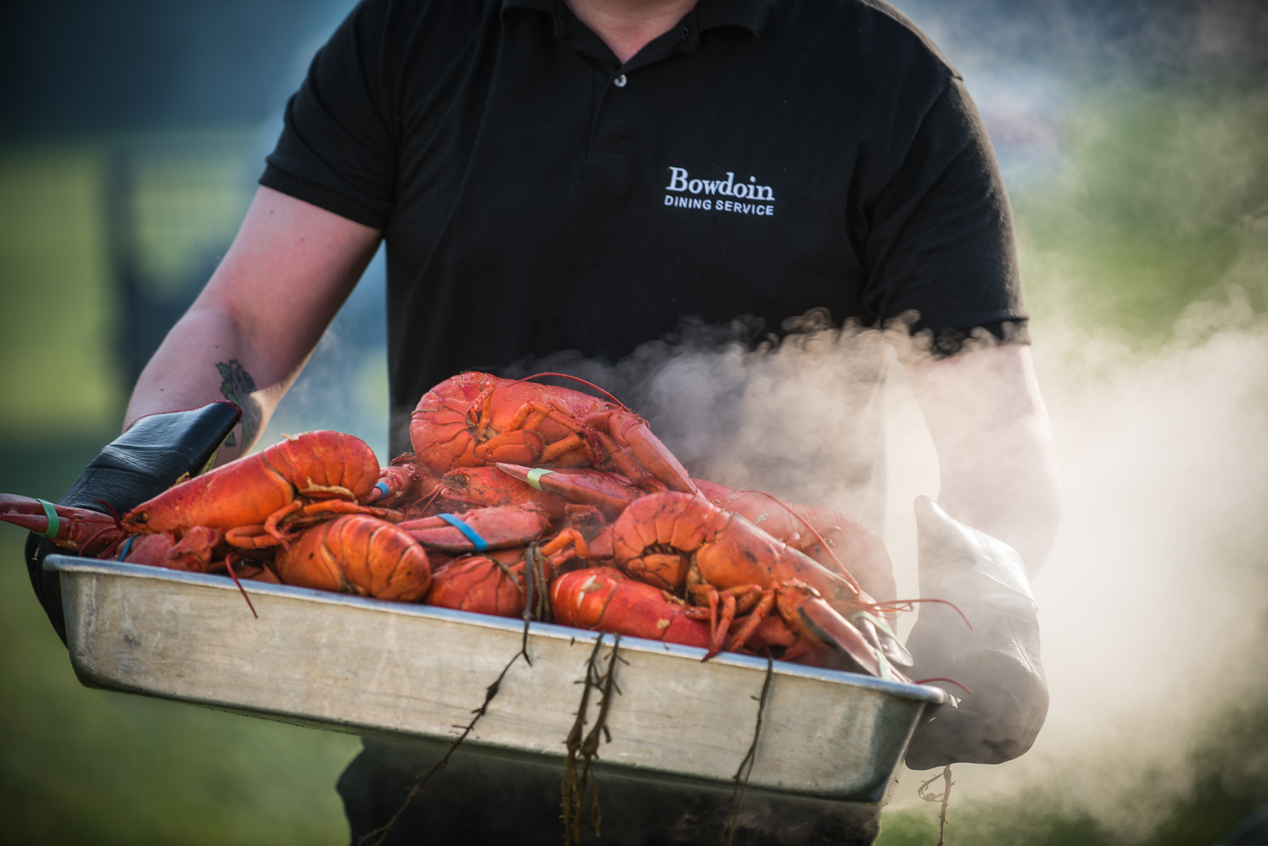Over 1800 lobsters are roasted—and composted— for the welcome back to campus.