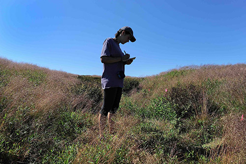 A Bowdoin student doing field research.