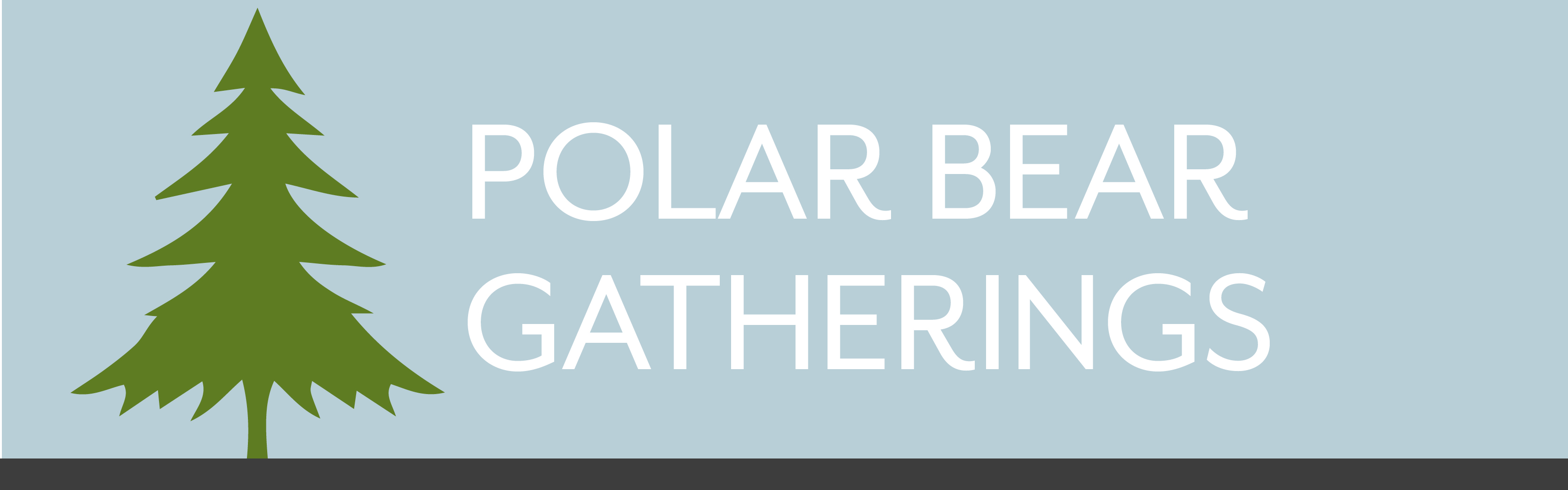 Polar Bear Gathering 