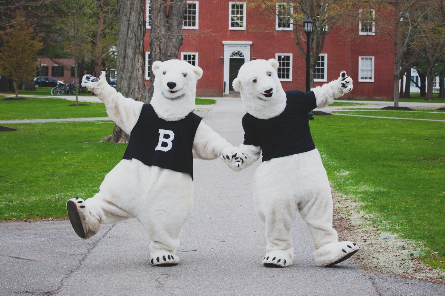 Two polar bear mascots holding hands