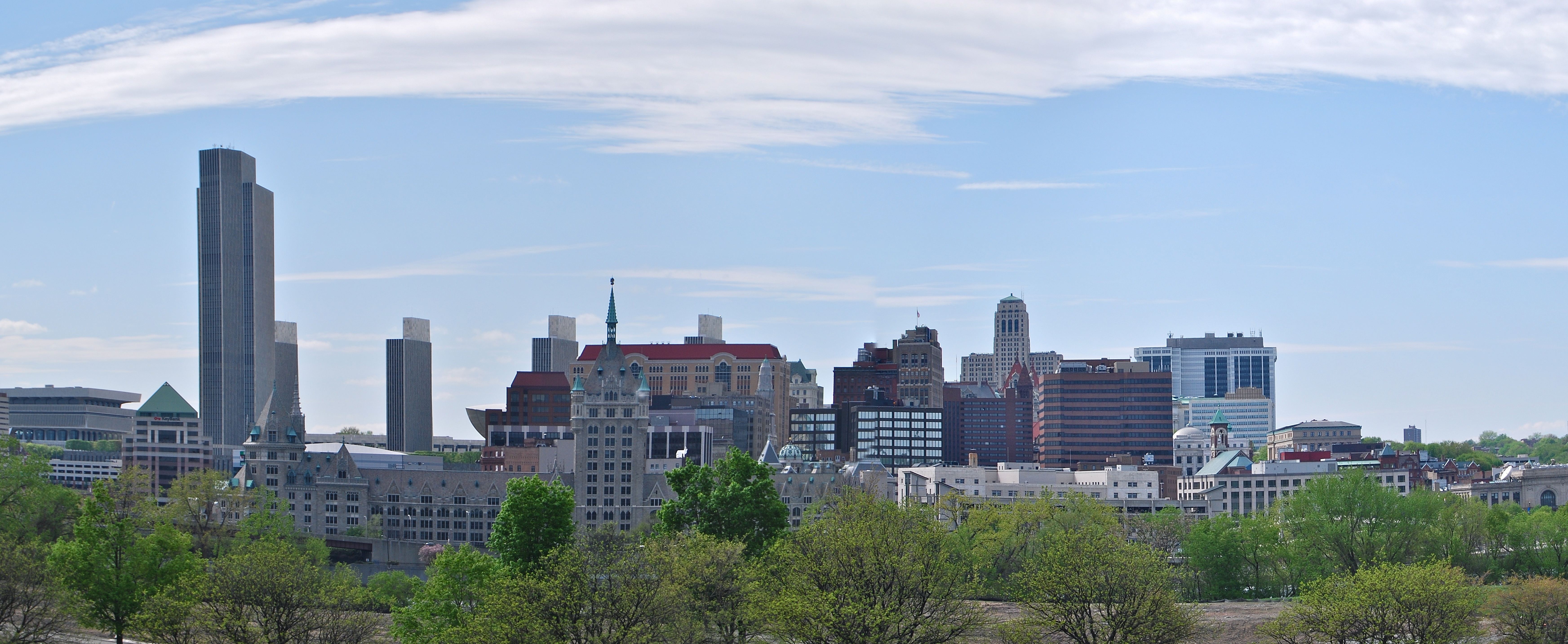 Albany Skyline
