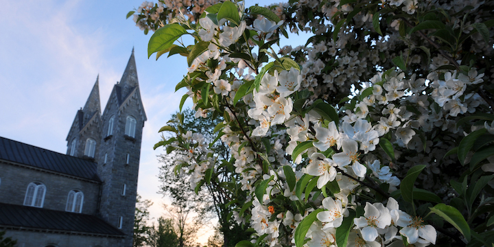 Chapel with spring flowers