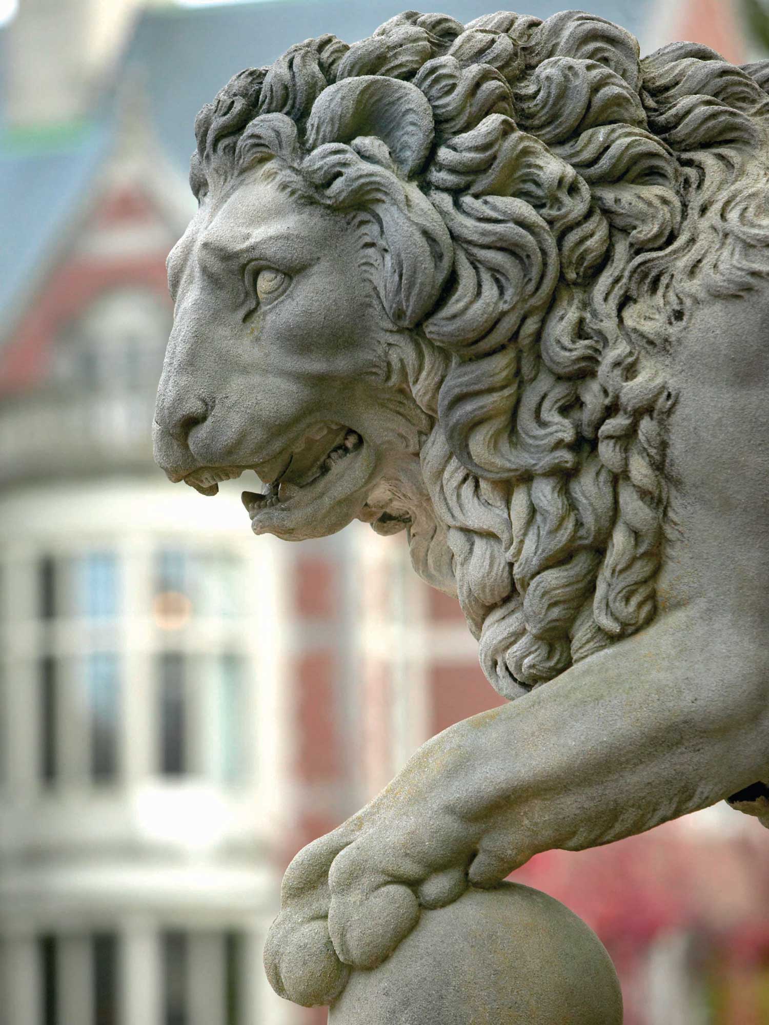 Lion statue