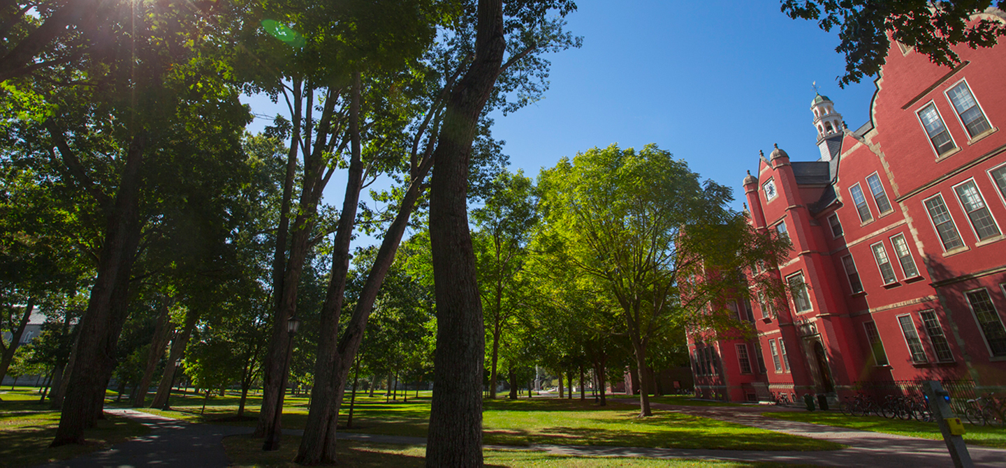 bowdoin college alumni fund bowdoin college alumni fund
