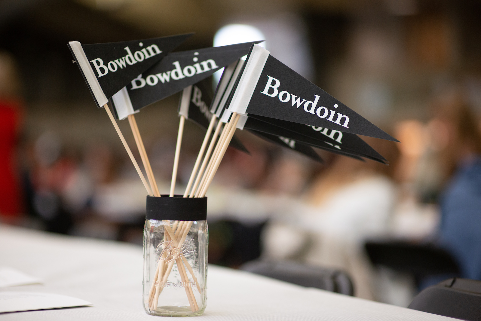 black and white bowdoin flags