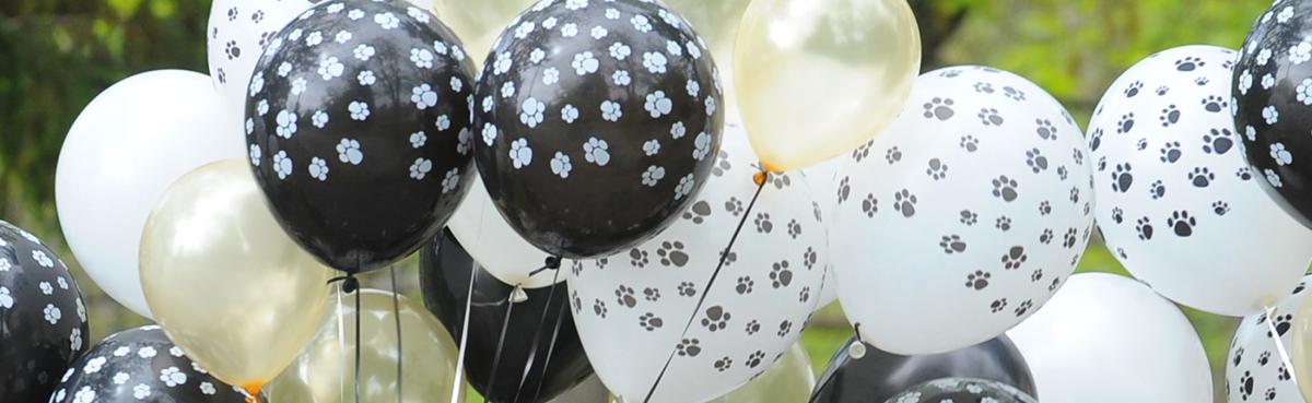 Bowdoin Balloons