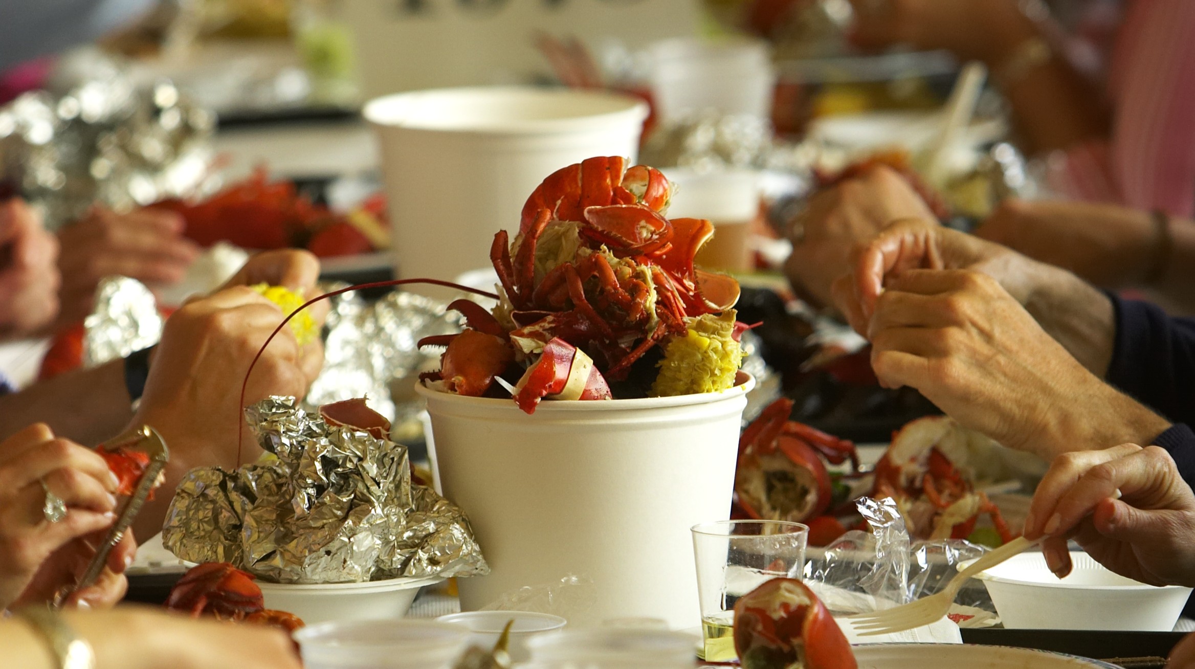 Lobster bake