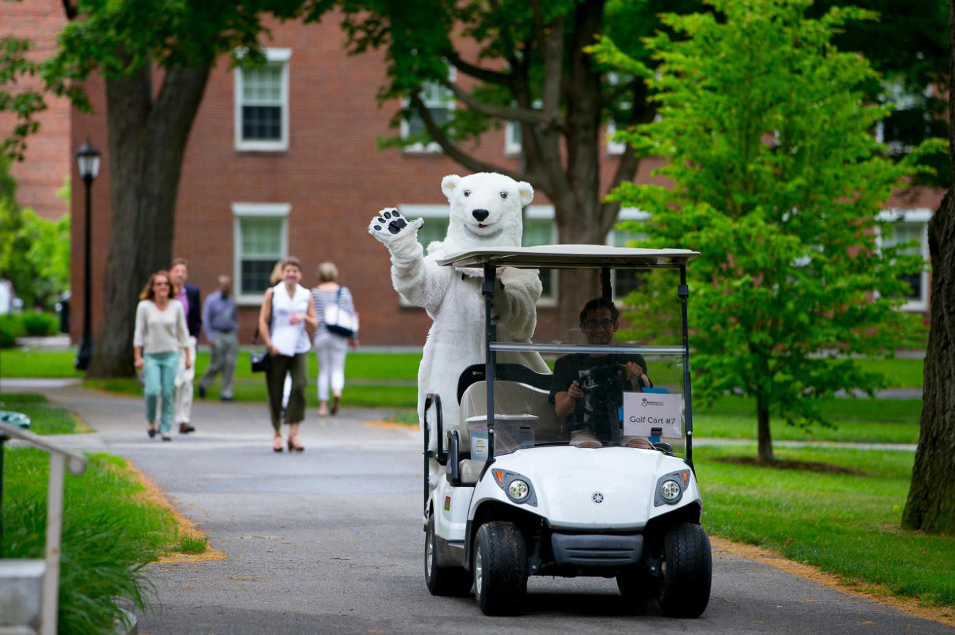 Polar Bear Mascot on the golf cart