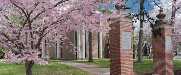 Spring campus shot