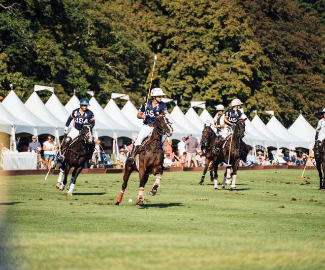 Newport Polo