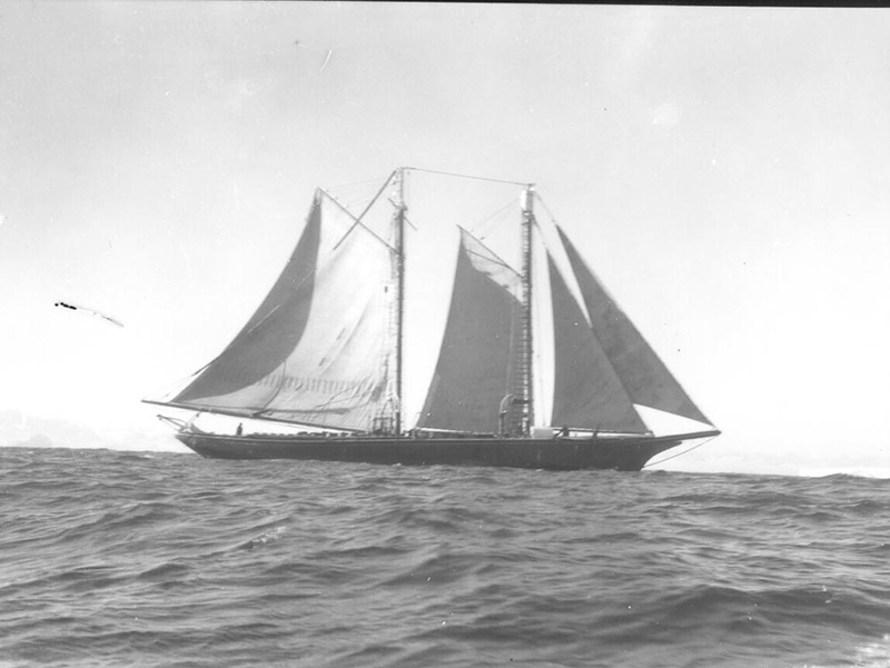 <p><b>The <em>Effie M. Morrissey</em></b> </p>    Robert A. Bartlett was already a renowned Arctic captain when he acquired the ‘little <em>Morrissey</em>’ as he called his ship, in 1925. Built as a fishing schooner, the <em>Morrissey</em> was well suited to northern work. Bartlett added a diesel engine in 1926, for increased speed and maneuverability, but to her captain the <em>Morrissey</em> remained primarily a sailing vessel.   <br /> <br />  Unidentified cameraman, Greenland, ca. 1930. Gift of David Nutt.