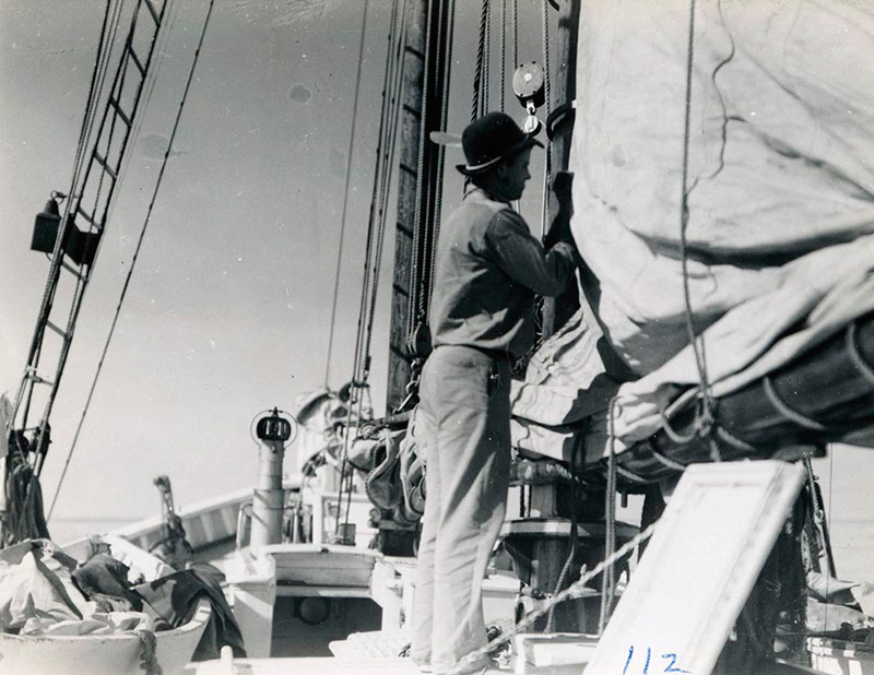 <p><b>Mending the Mainsail</b> </p>   Crew members had a variety of duties to attend to while on the expedition. In addition to gathering specimens for researchers, they all assisted with the day-to-day operations of the schooner. Some returned a number of times and were promoted as they gained experience. Peter Rand, shown here, was first mate on his second and third voyages.   <br /> <br />  Donald B. MacMillan. Peter Rand mending the mainsail, 1949. Silver gelatin print. Gift of Donald and Miriam MacMillan. 