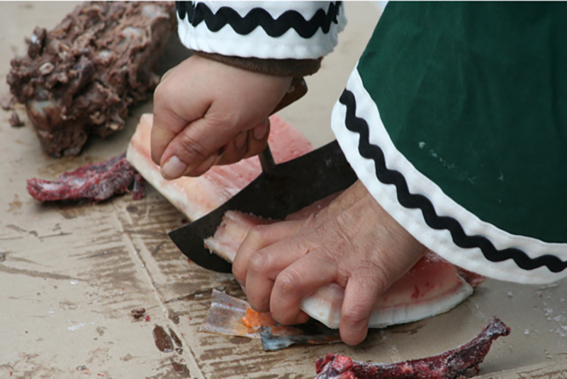 Photo of person cutting fish with a ulu tool