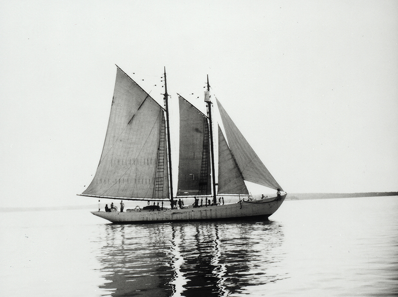 the schooner Bowdoin