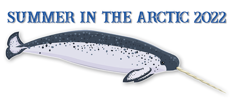 Summer in the Arctic 2022