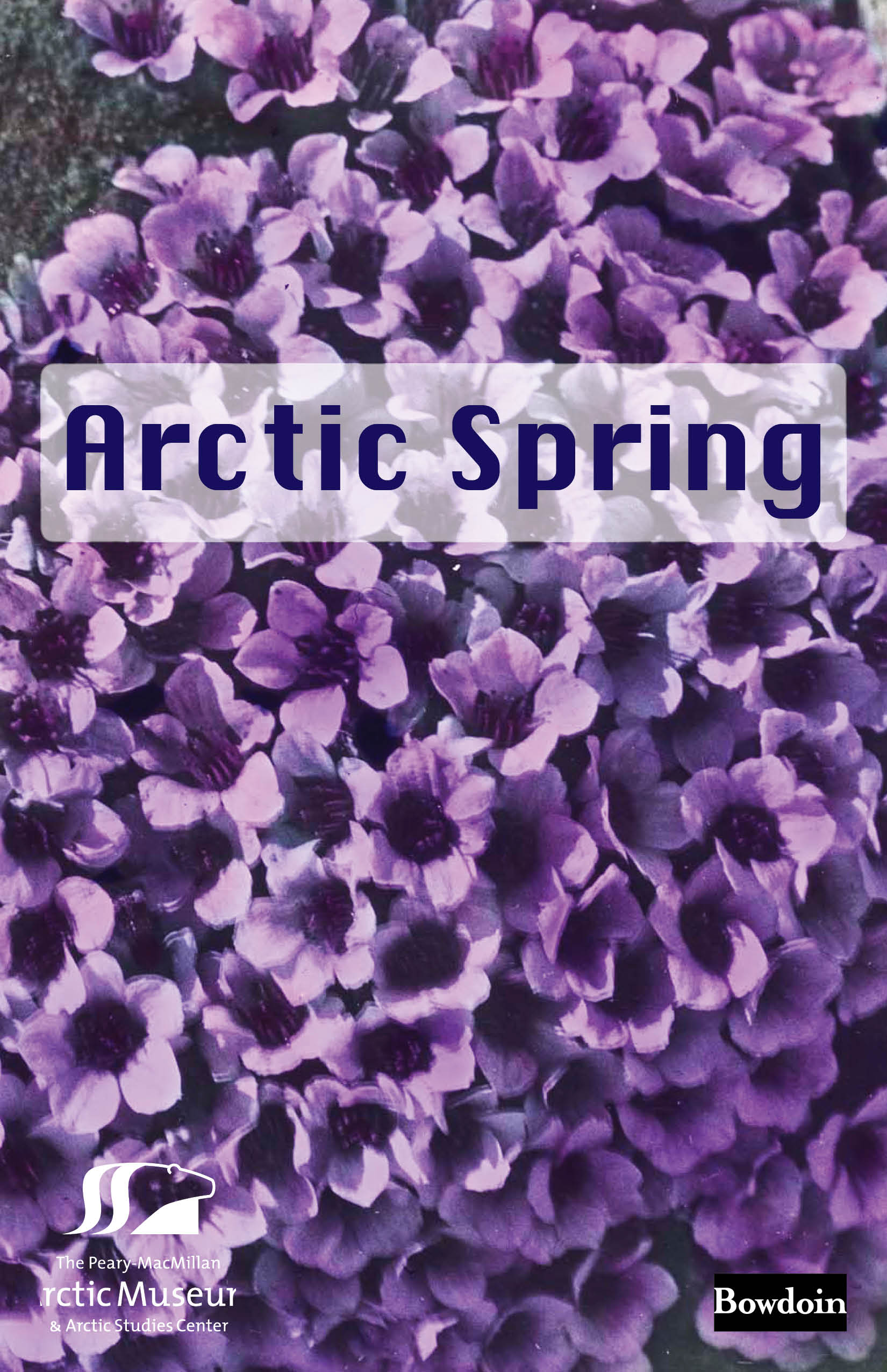 Arctic Spring book cover