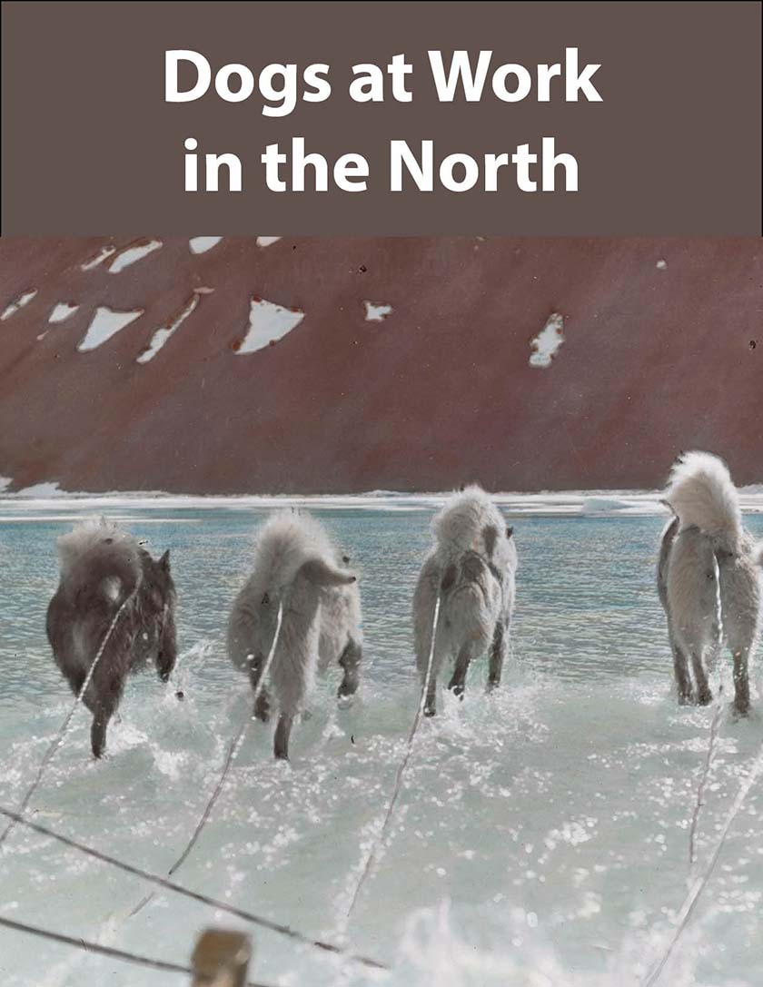 Dogs at Work in the North book cover