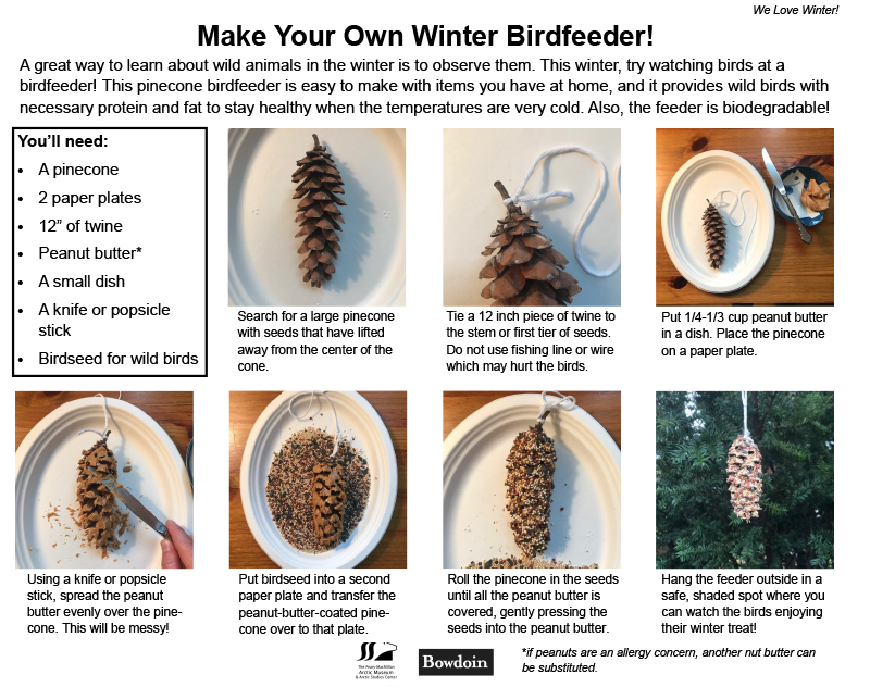 instructions for pinecone bird feeder