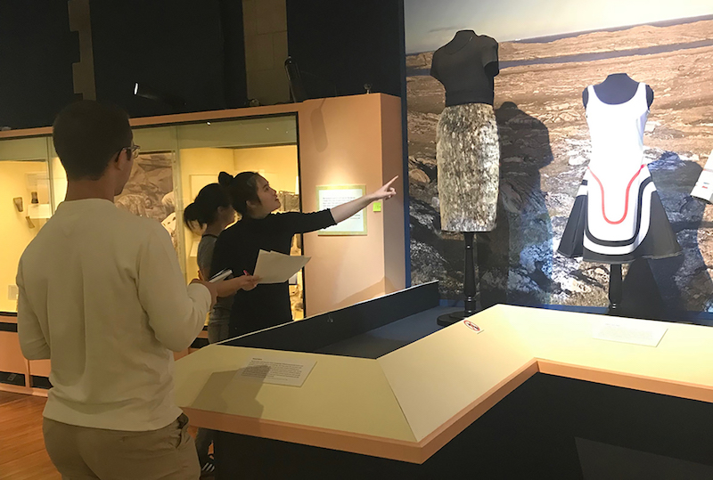 The search for arctic treasures display