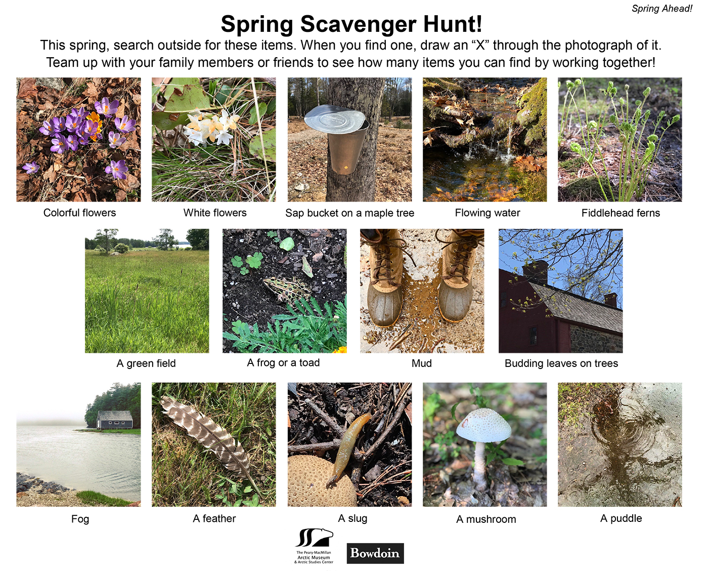 Photo of a spring scavenger hunt