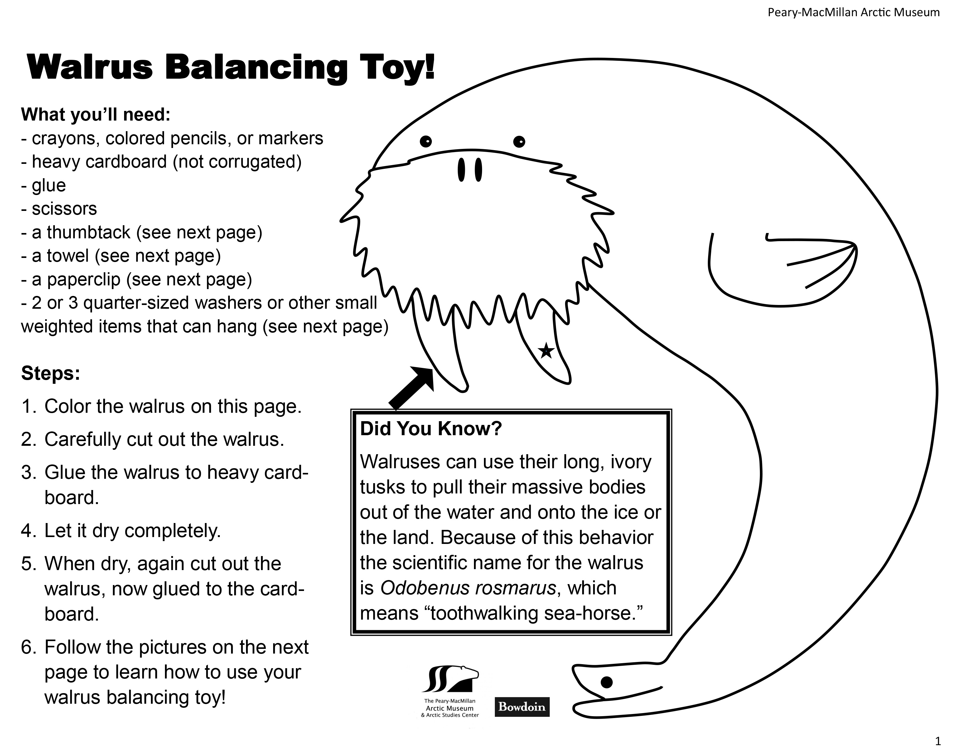 This is a Walrus balancing toy craft project
