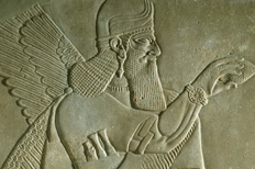 Palace Reliefs from Kalhu (Nimrud)