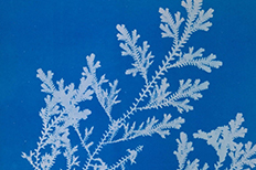 Material Resources: Intersections of Art and the Environment