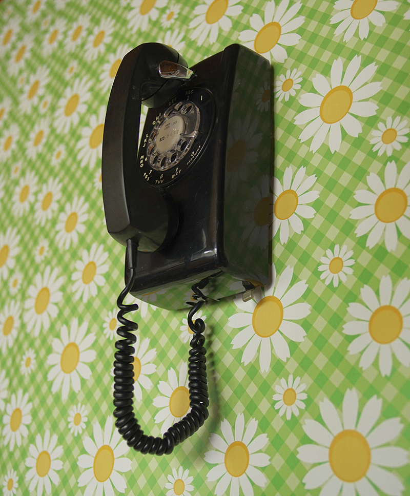A black wall  rotary phone on green wallpaper with daisies