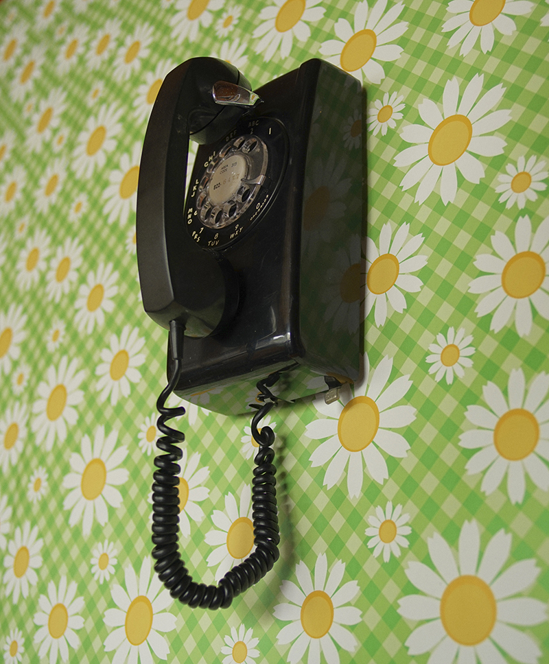 A black wall rotary phone on green wallpaper with daisies