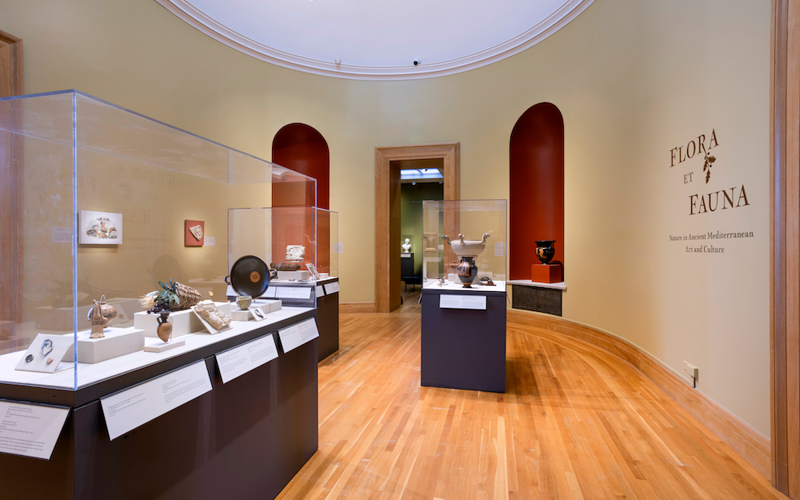 An art museum space with ancient objects in display cases